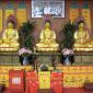 Shaolin 120